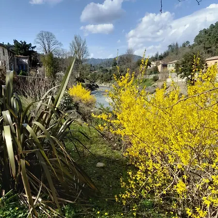 Gite De La Paradine Saumane